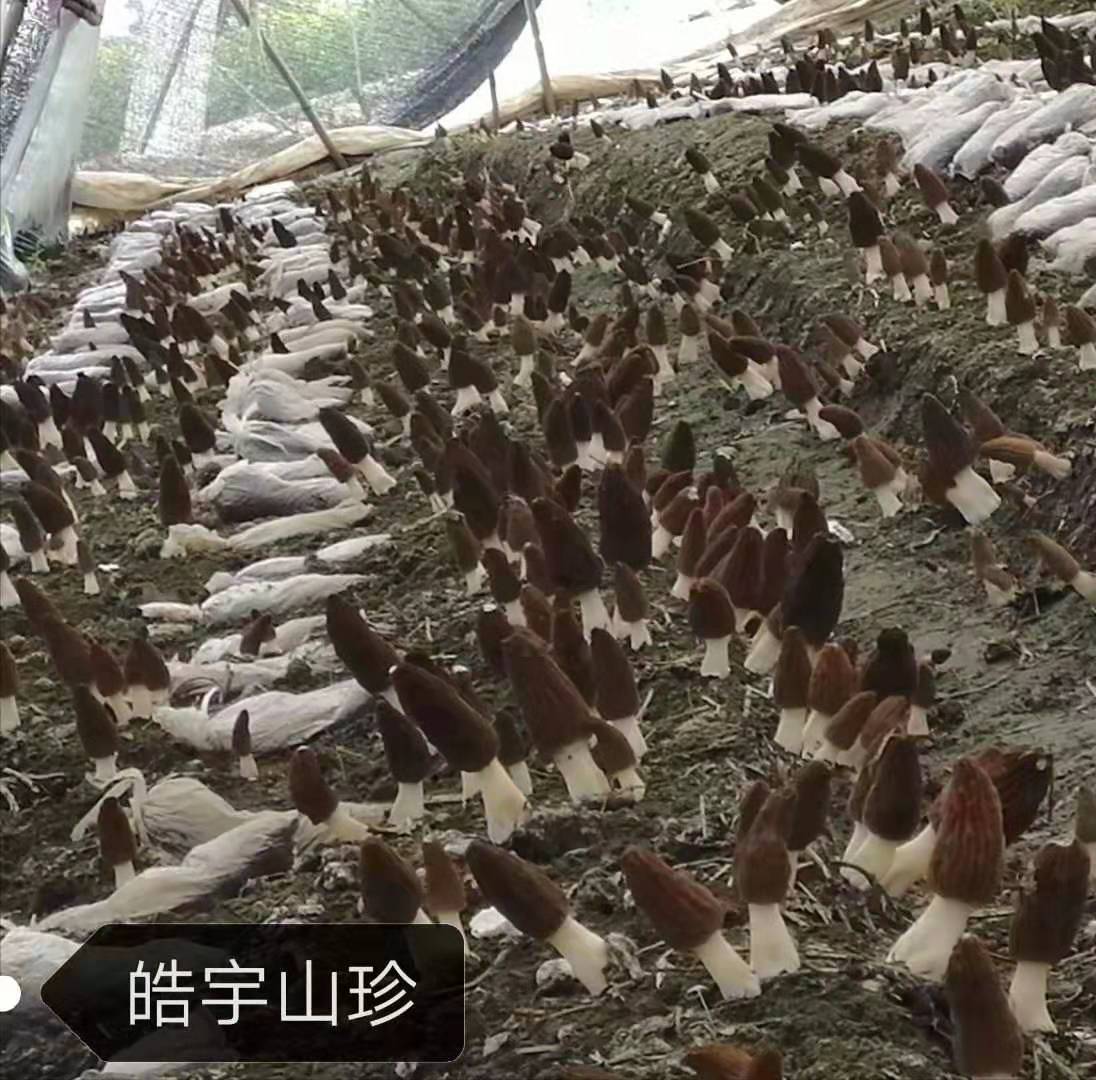&#24320;&#20113;&#32593;&#39029;&#29256;