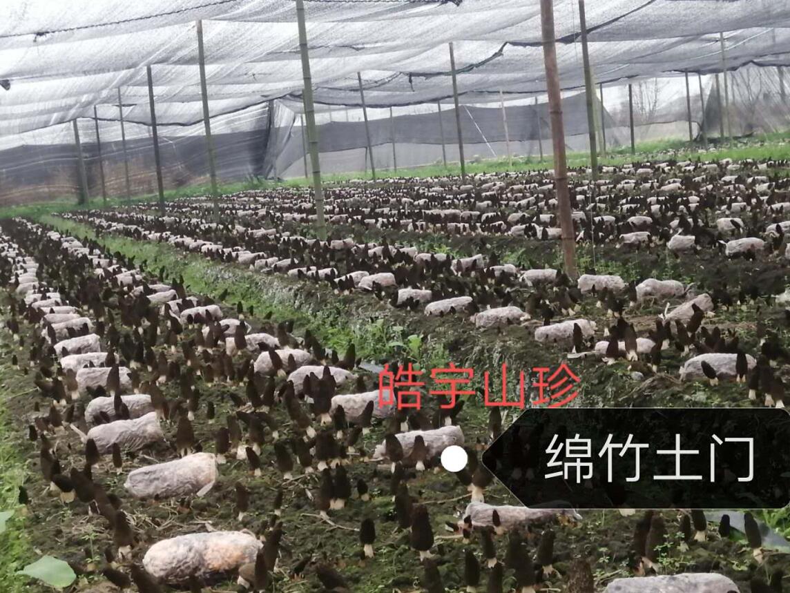 &#24320;&#20113;&#32593;&#39029;&#29256;