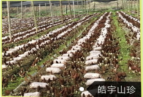 &#24320;&#20113;&#32593;&#39029;&#29256;
