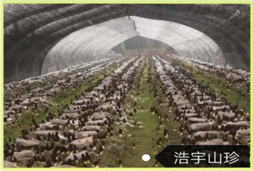 &#24320;&#20113;&#32593;&#39029;&#29256;