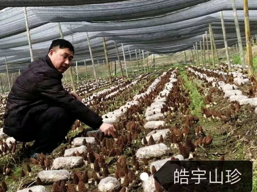 &#24320;&#20113;&#32593;&#39029;&#29256;