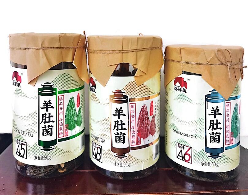 &#24320;&#20113;&#32593;&#39029;&#29256;