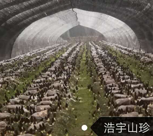 &#24320;&#20113;&#32593;&#39029;&#29256;