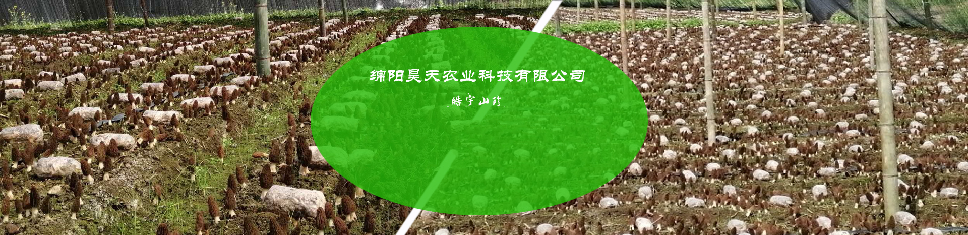 &#24320;&#20113;&#32593;&#39029;&#29256;