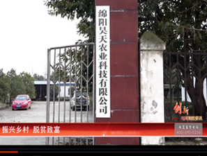 &#24320;&#20113;&#32593;&#39029;&#29256;