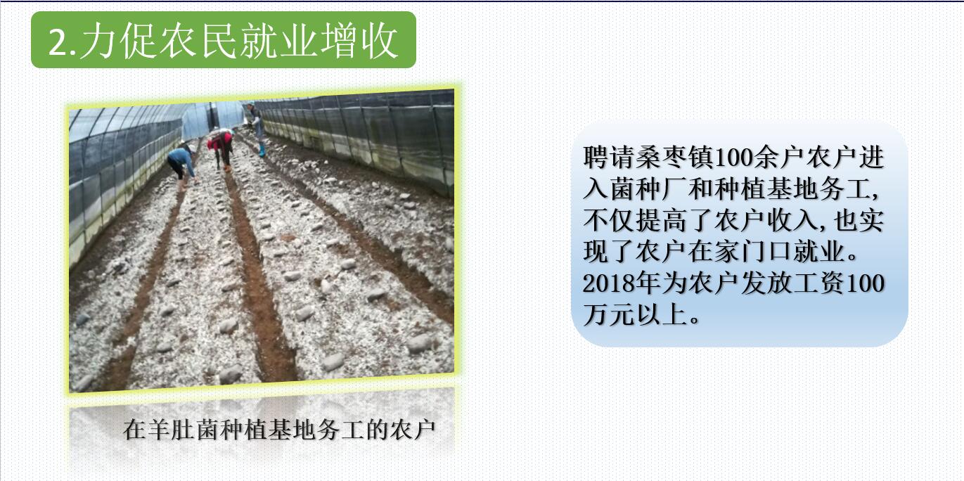 &#24320;&#20113;&#32593;&#39029;&#29256;