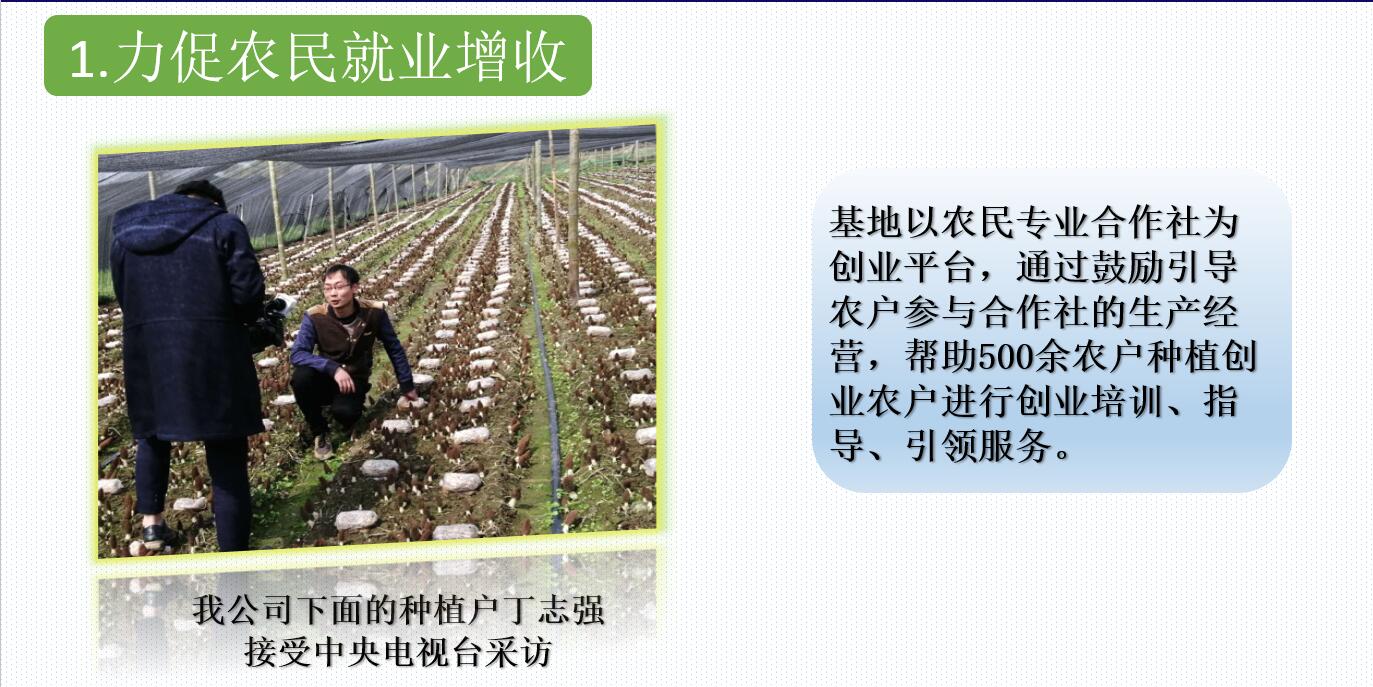 &#24320;&#20113;&#32593;&#39029;&#29256;