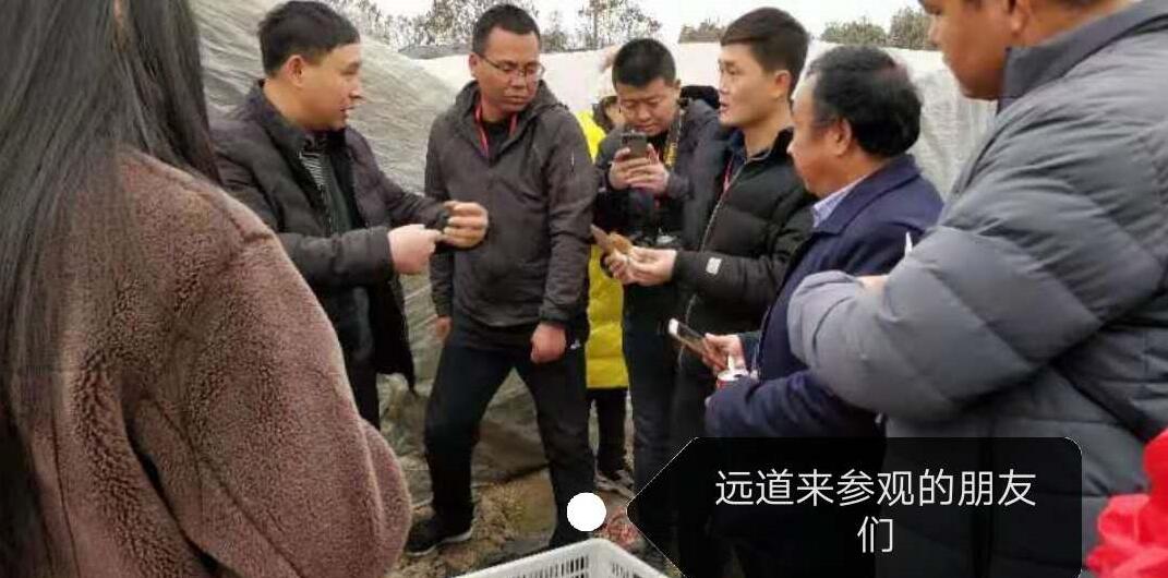 &#24320;&#20113;&#32593;&#39029;&#29256;