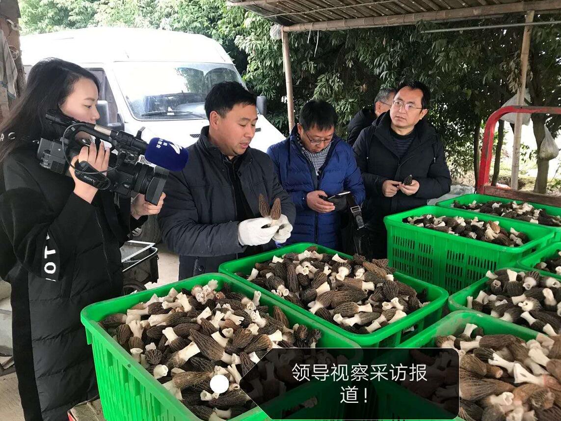 &#24320;&#20113;&#32593;&#39029;&#29256;
