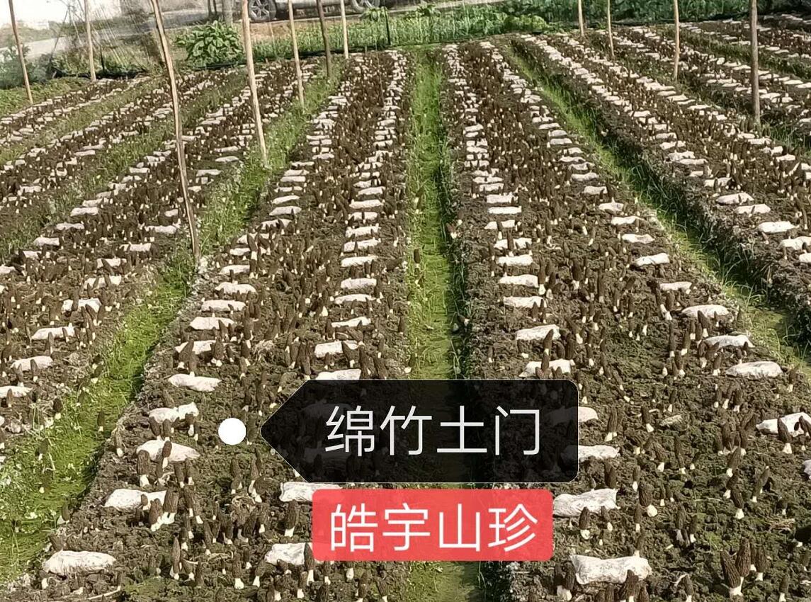&#24320;&#20113;&#32593;&#39029;&#29256;