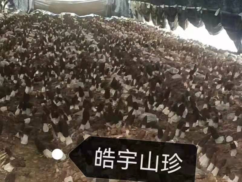 &#24320;&#20113;&#32593;&#39029;&#29256;