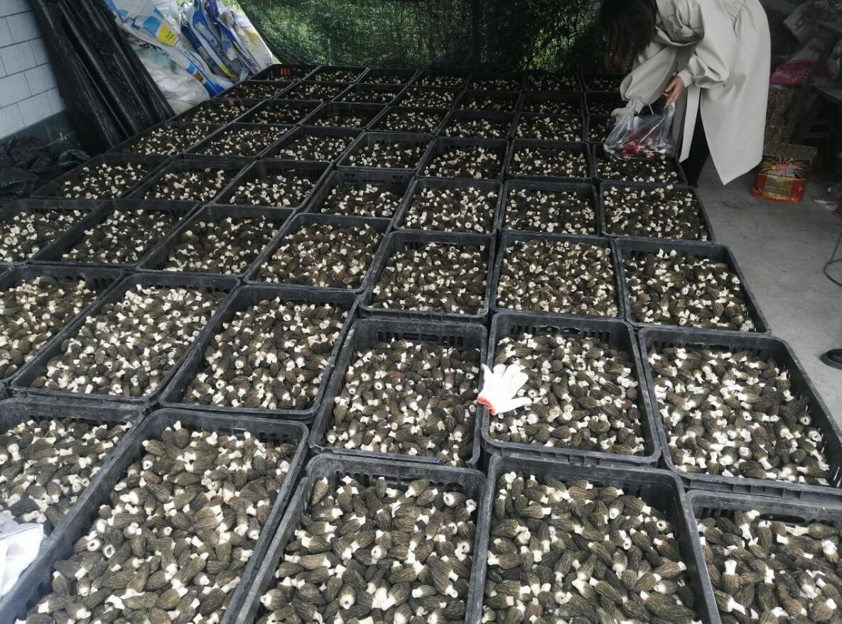 &#24320;&#20113;&#32593;&#39029;&#29256;