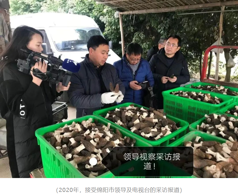 &#24320;&#20113;&#32593;&#39029;&#29256;