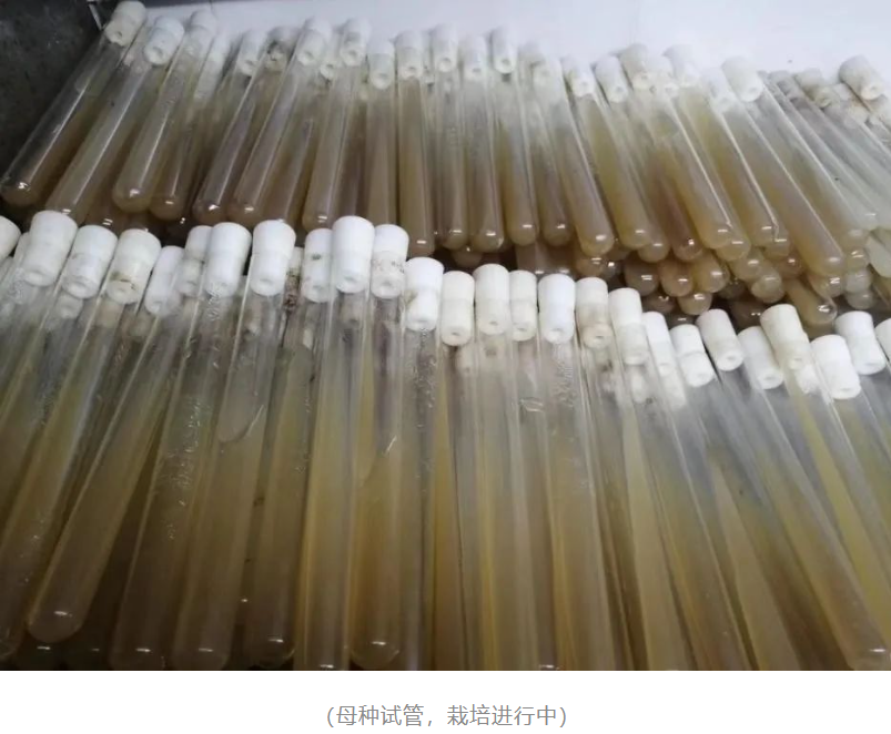 &#24320;&#20113;&#32593;&#39029;&#29256;